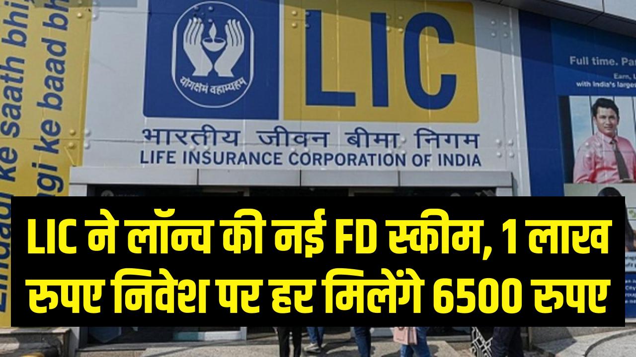 LIC FD Scheme: LIC ने लॉन्च की नई FD स्कीम, 1 लाख रुपए करें निवेश हर मिलेंगे 6500 रुपए
