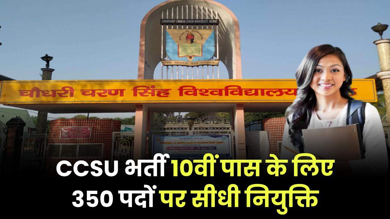 CCSU में 10वीं पास के लिए भर्ती, 350 पदों पर सीधा सेलेक्शन, जानें पूरी डिटेल